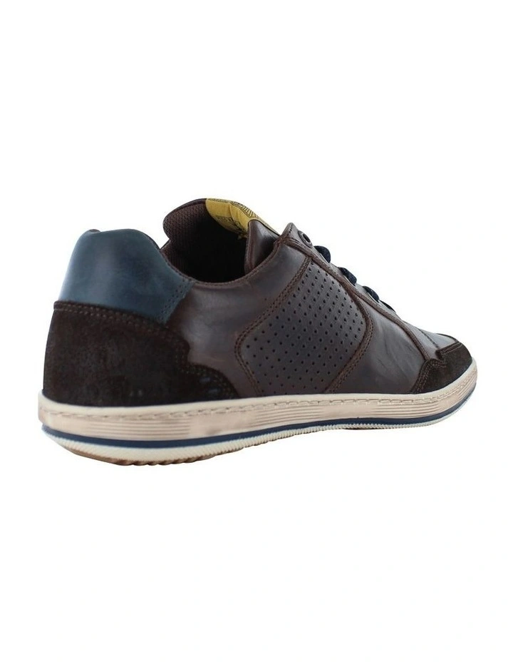 Crest Casual Sneaker in Dark Brown