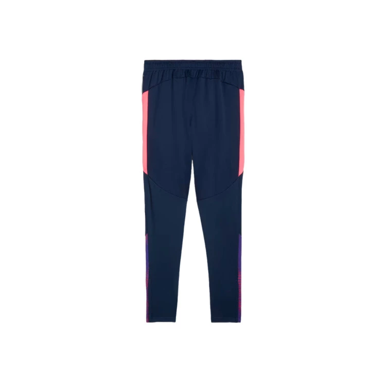 Puma Individualfinal Training Pants Long pants