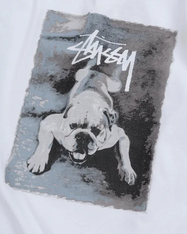 STUSSY  |Street Style Short Sleeves Logo Skater Style T-Shirts