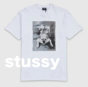 STUSSY  |Street Style Short Sleeves Logo Skater Style T-Shirts